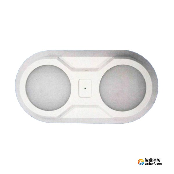 依愛EI-ZFJC-E3W-S8643BB集中電源集中控制型消防應(yīng)急照明燈具 雙頭壁掛