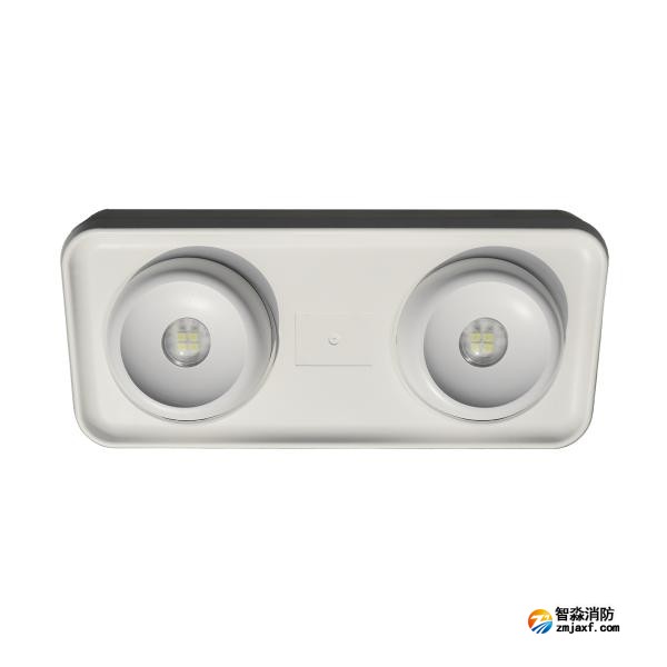 依愛EI-ZFJC-E5W-S8645GB集中電源集中控制型消防應(yīng)急照明燈具