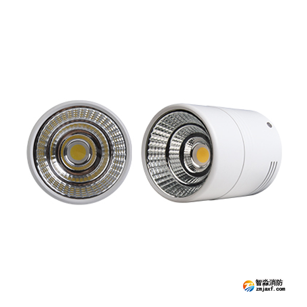 三江SJ-ZFJC-E15W/FZ041集中電源集中控制型消防應(yīng)急照明燈具