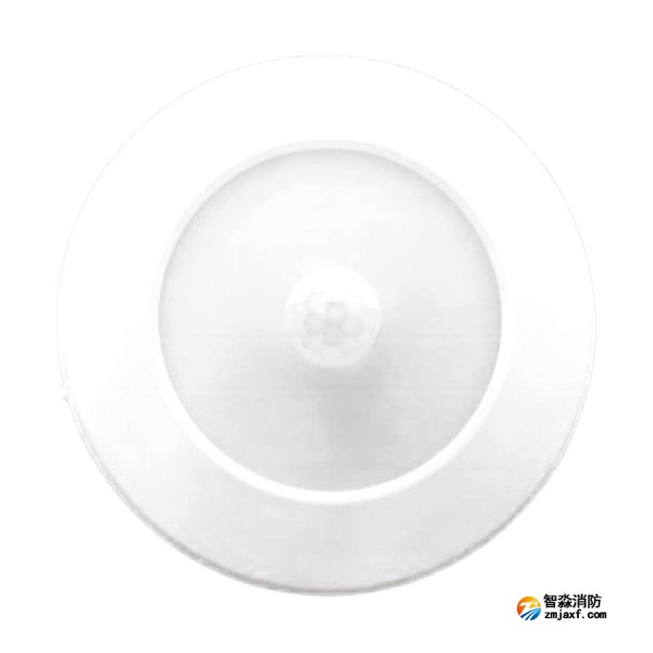 三江SJ-ZFJC-E5W/ZG53集中電源集中控制型消防應(yīng)急照明燈具