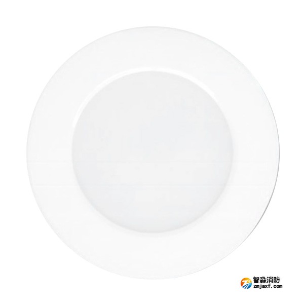 三江SJ-ZFJC-E5W/ZX53集中電源集中控制型消防應(yīng)急照明燈具