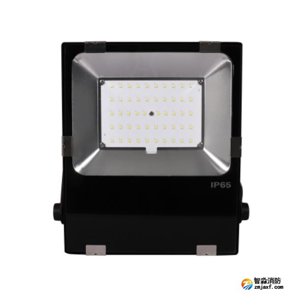 三江SJ-ZFJC-E50W/B021集中電源集中控制型消防應(yīng)急照明燈具 B型