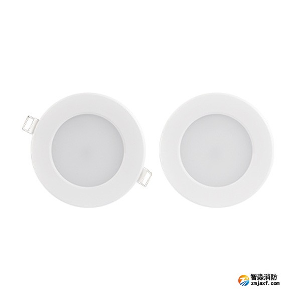 三江SJ-ZFJC-E5W/ZQ53集中電源集中控制型消防應(yīng)急照明燈具