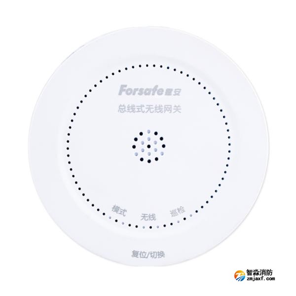 賦安FS9303總線式無線網(wǎng)關(guān)