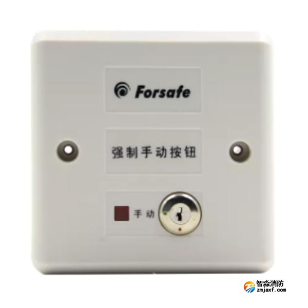 賦安FS1906強制手動按鈕