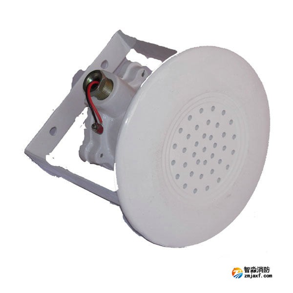 金鼎JDYS(3W)防爆音箱(有源)