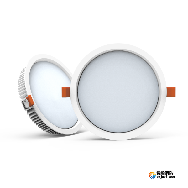 尼特NT-ZFJC-E8W-1311集中電源集中控制型消防應(yīng)急照明燈具