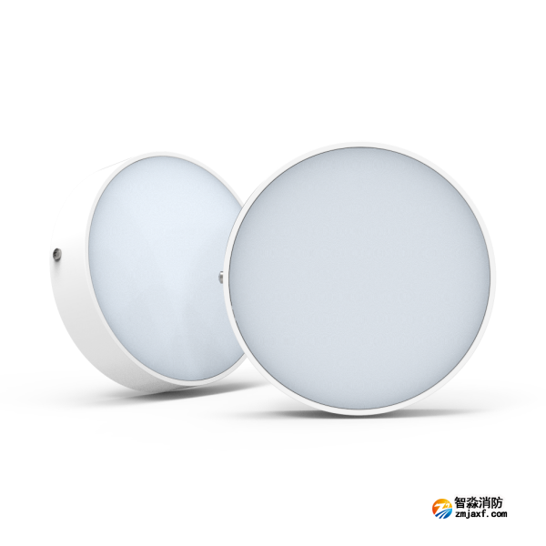 尼特NT-ZFJC-E8W-1310集中電源集中控制型消防應(yīng)急照明燈具