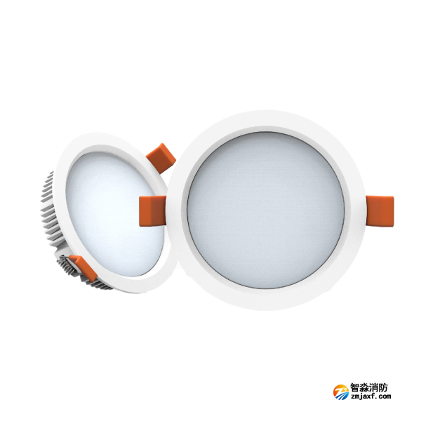 尼特NT-ZFJC-E3W-1307集中電源集中控制型消防應(yīng)急照明燈具