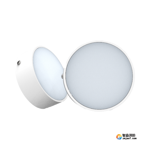 尼特NT-ZFJC-E5W-1308集中電源集中控制型消防應(yīng)急照明燈具