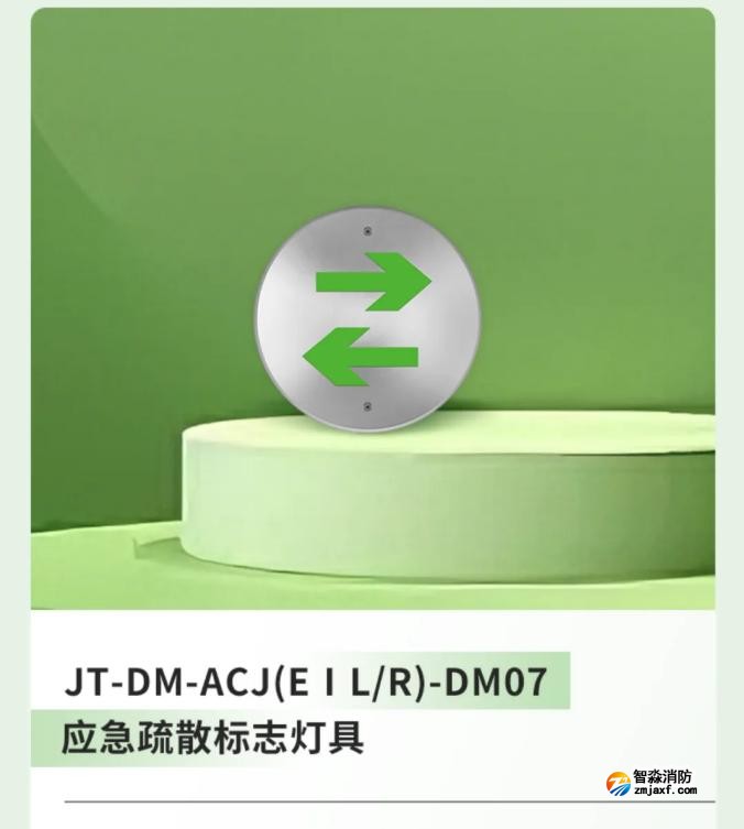 嘉泰新國標應急疏散標志燈