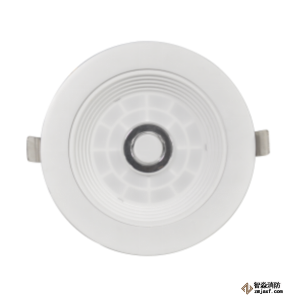 泰和安TS-ZFJC-E8W-6611集中電源集中控制型消防應急照明燈具