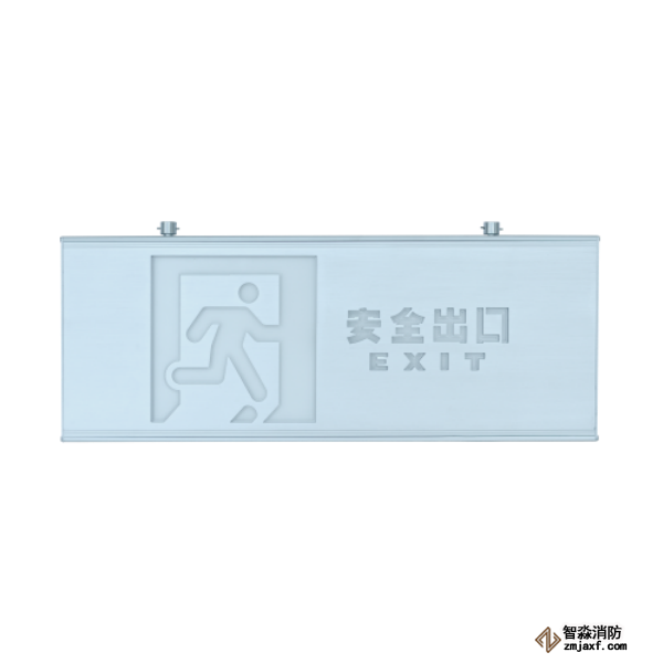 泰和安集中電源集中控制型安全出口標(biāo)志燈TS-BLJC-2OEⅢ1W-6469