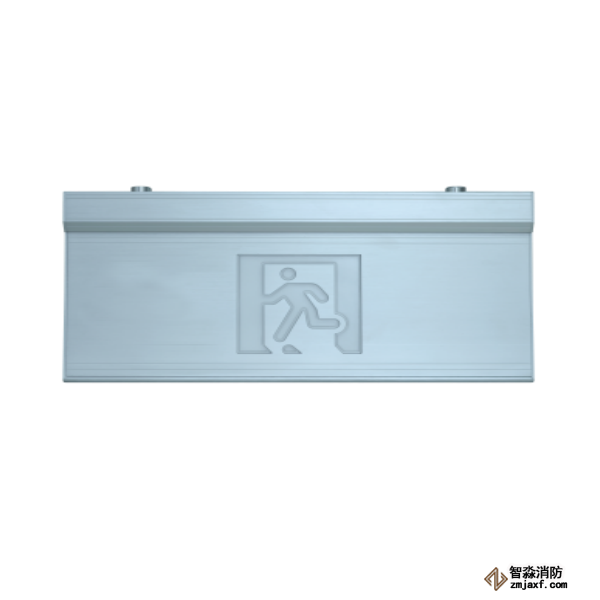 泰和安集中電源集中控制型安全出口指示燈TS-BLJC-2OEⅡ1W-6466E