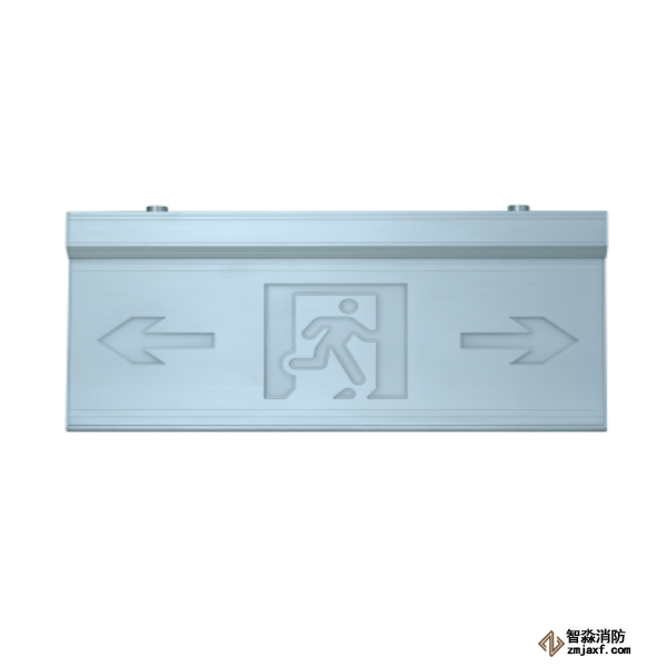 泰和安集中電源集中控制型雙向消防應(yīng)急標(biāo)志燈具TS-BLJC-2LREⅡ1W-6466