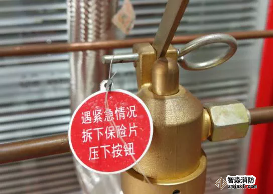 氣體滅火系統(tǒng)保險銷