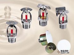 消防噴頭從車庫(kù)火災(zāi)里救出女孩